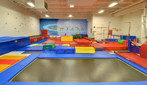 Image result for Fish trampoline and gymnastics club