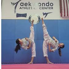 Image result for Taekwondo Athletes Program USA