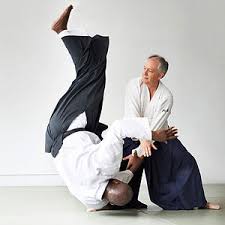 Image result for Bracknell Aikido Club