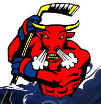 Image result for Borehamwood Crusaders