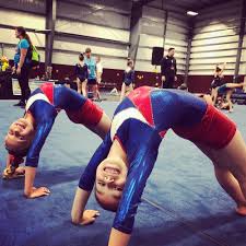 Image result for Acrobrats