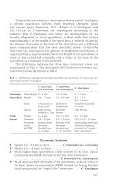 Attēlu rezultāti vaicājumam “Stemonitopsis subcaespitosa stalked”