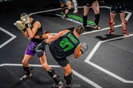 Image result for Full Element Mixed Martial Arts