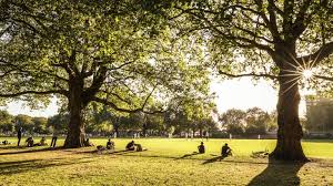 Image result for London Fields Cricket Club