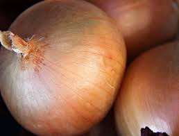 Image result for Zwiebeln