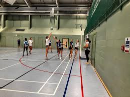 Image result for Blue Jays Netball Club
