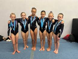 Image result for Lincoln Gymnastics Club
