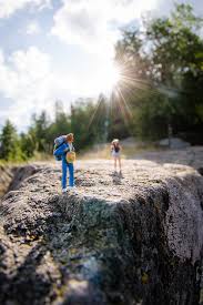 Image result for perspective photography