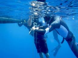Image result for Blue Water Freediving School