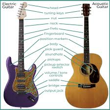 Image result for guitar