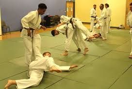 Image result for Levern Tora-Kai Karate Club