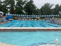 Image result for Dearne Valley Swimming Club