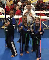 Image result for Windsor Karate Club