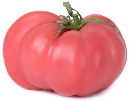 Afbeeldingsresultaat voor Pink Brandywine tomato