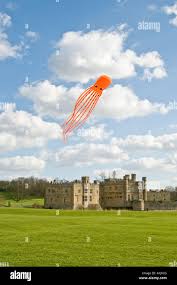 Image result for Kent Kite Flyers Club