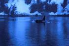 Male killer whale orcinus orca - via Daymix