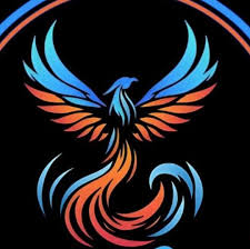 Image result for Phoenix Star Judo Club (Southwick)