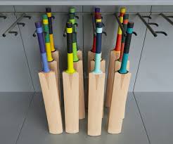 Image result for Shelf Cricket Club