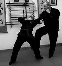 Image result for Inyo Karate Do Ninbukan