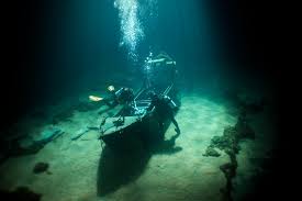 Image result for Dive Solutions, London