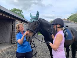 Image result for Lower Farm Stables