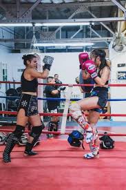 Image result for S J T B Thai Boxing Gym
