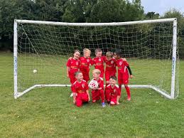 Image result for Lawley Lightmoor Comets Football Club