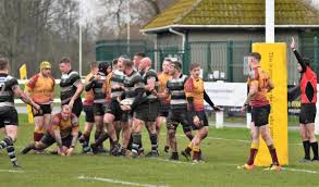 Image result for York Rugby Union Football Club
