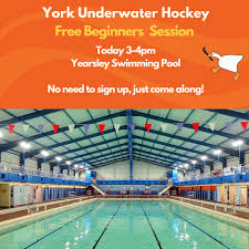 Image result for Yorkshire Ladies Octopush Club