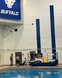 Image result for Selby Tiger Sharks Swimming Club