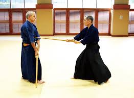 Image result for Kensei Karate Dojo