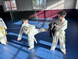 Image result for Abbey Fit Tae Kwon Do