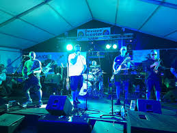 Image result for Devizes Dazzlers