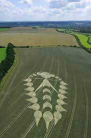 Image result for crop circles