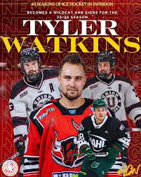 Image result for Swindon Panthers