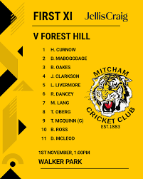 Image result for Mitcham Cricket Club