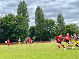 Image result for Thames Ditton Schools Fc