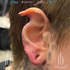 Image result for ear mod