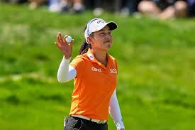 Image result for seppi tehron