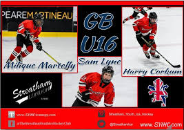 Image result for Streatham Youth Ice Hockey Club