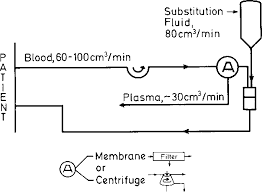 Image result for Autopheresis C
