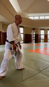 Image result for Komaru Ryu Small Circle Jujitsu/Karate