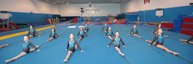 Image result for Mk Springers Gymnastics Club