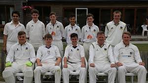Image result for Chipstead Coulsdon & Walcountains Cricket Club