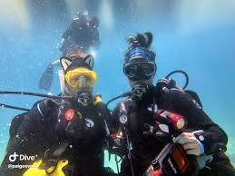 Image result for Southdown Divers