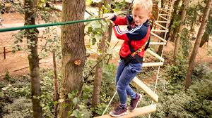 Image result for Southampton Treasure Gymnastics