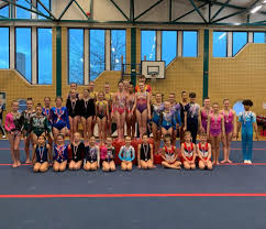 Image result for Falcon Sa Club