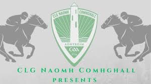 Image result for St Comgall`s G A C