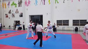 Image result for North Yorkshire Goju Ryu Karate Club