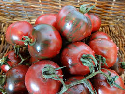 Afbeeldingsresultaat voor kosmonaut volkov 68D tomato